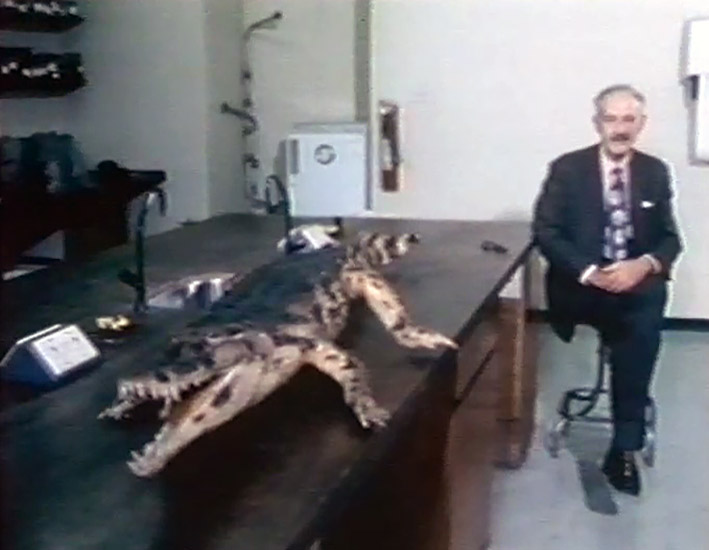 David Bellamy This Is Your Life